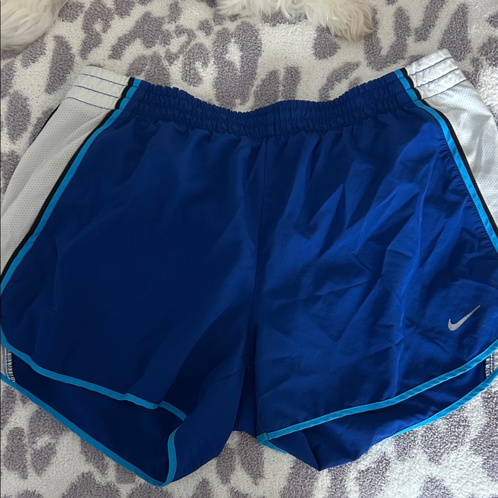 Nike Royal Blue Running Shorts with White Trim